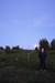 RN1N/P Image